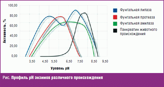 Применение энзимов в диетологии и нутрициологии.